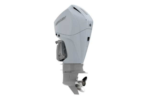 buy suzuki 25hp outboard motor